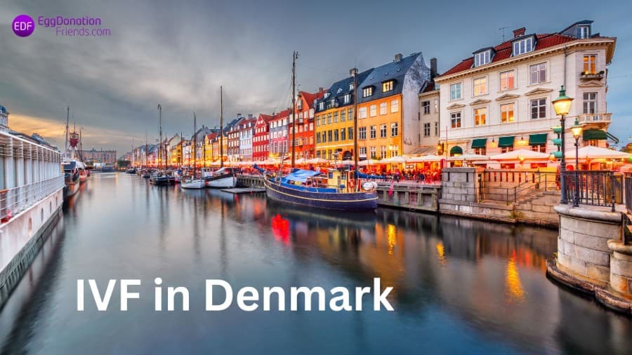 Egg Donation and IVF in Denmark