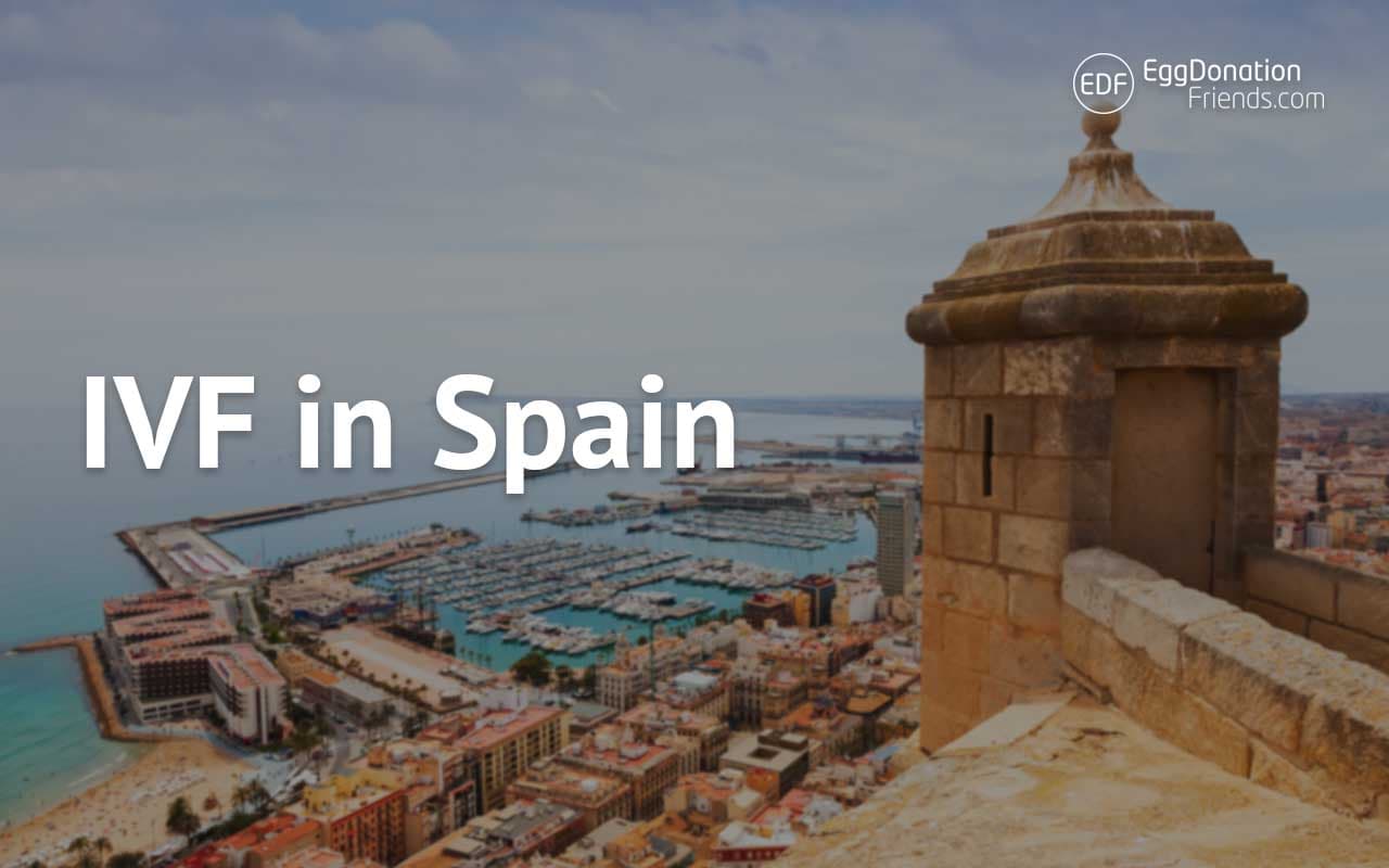IVF and Egg Donation abroad
