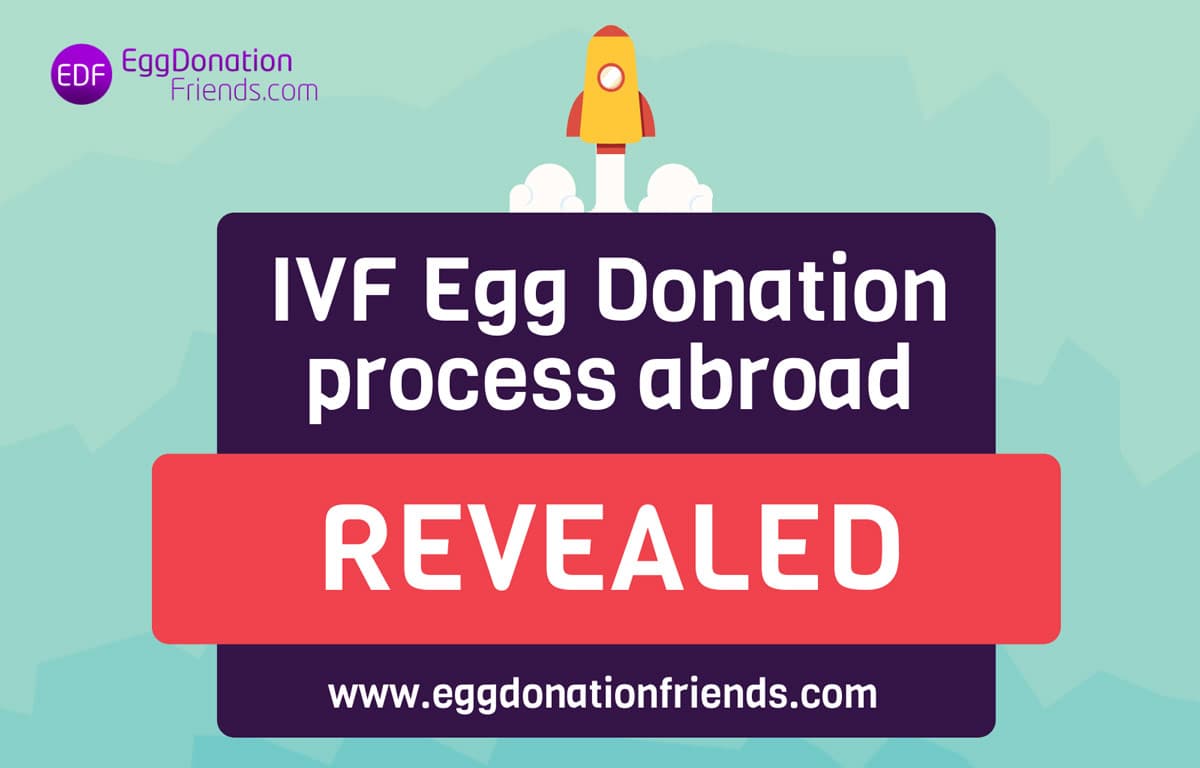 IVF with Donor Eggs – The Step-by-Step Process