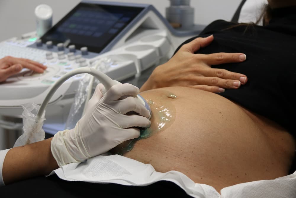 Double Donation in Spain—Success Rates and Benefits