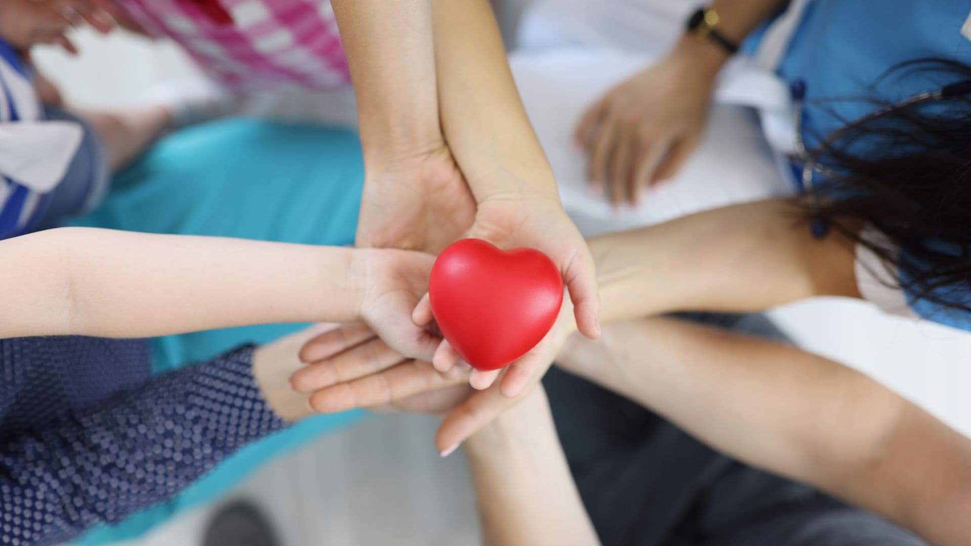 Egg Donors in Spain—All You Need to Know: Availability, Legal Aspects, and Qualification Explained