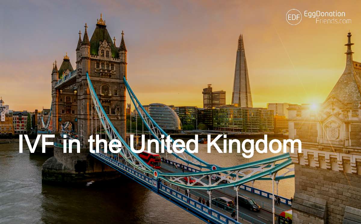 IVF and Egg Donation in the United Kingdom