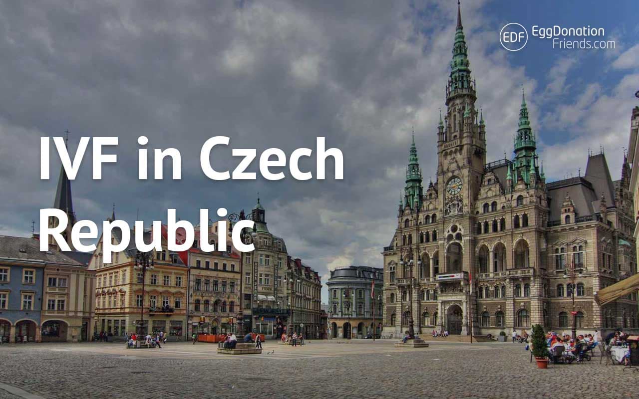Egg Donation and IVF in Czech Republic