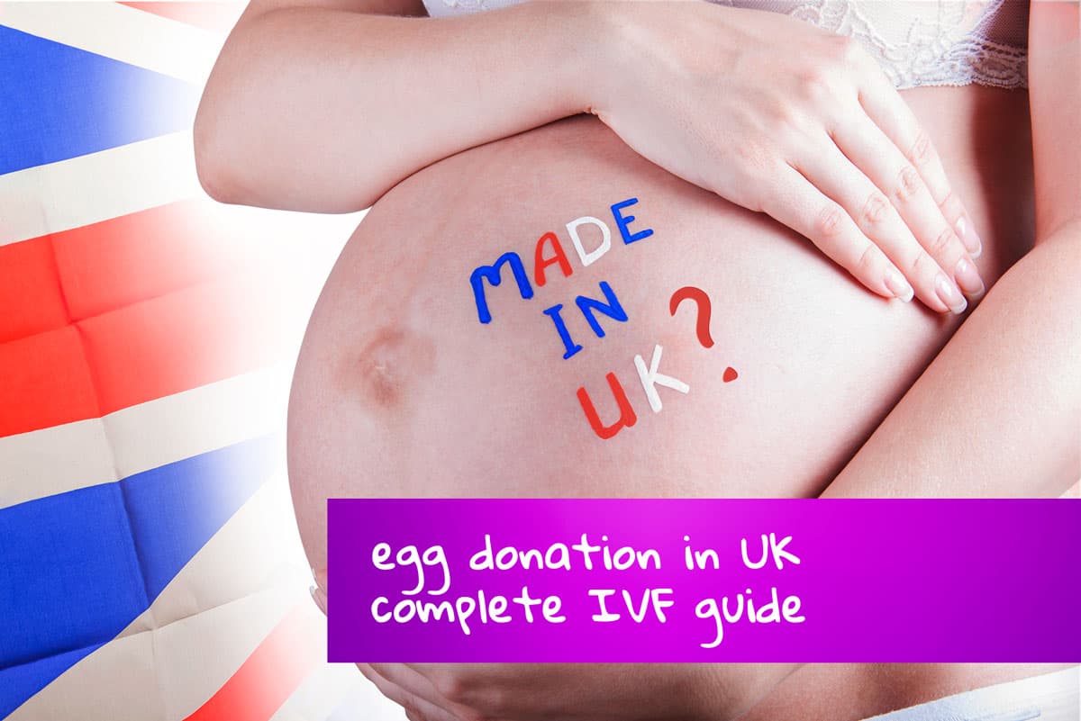 Donor Egg IVF UK: Costs, Reviews, and Laws