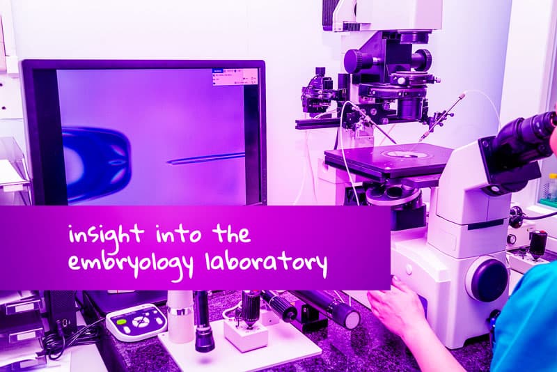 IVF embryo development – insight into the embryology lab