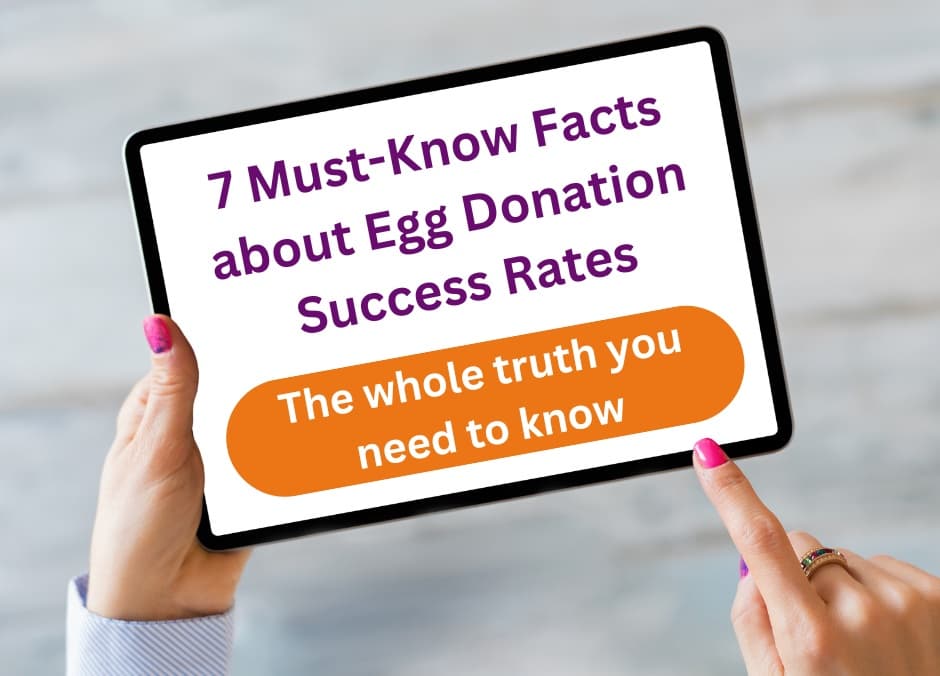 Donor Egg IVF Success Rates – The Truth Clinics Don’t Tell You