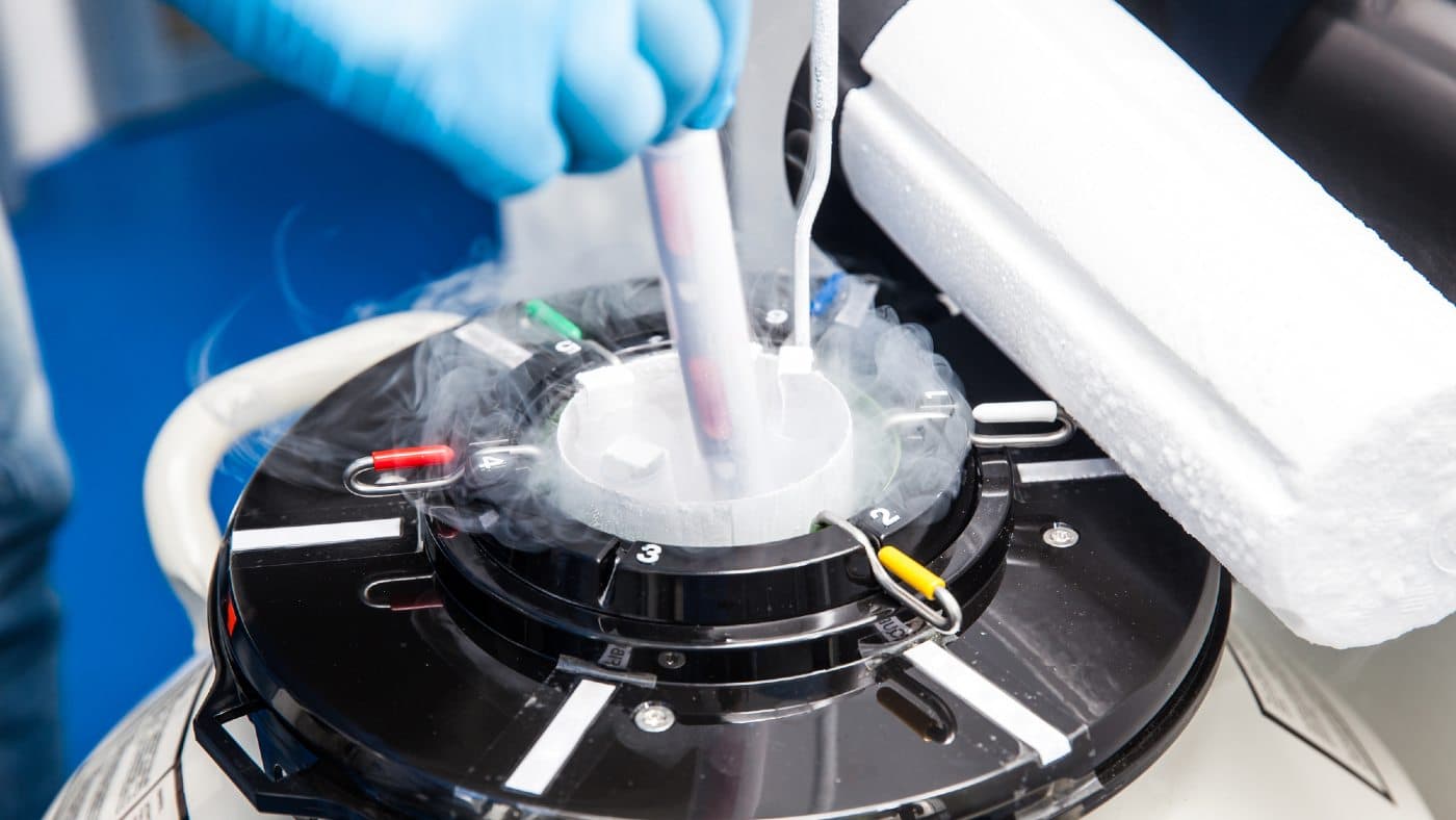 Cryo Shipping in Europe – costs, availability, and legal issues
