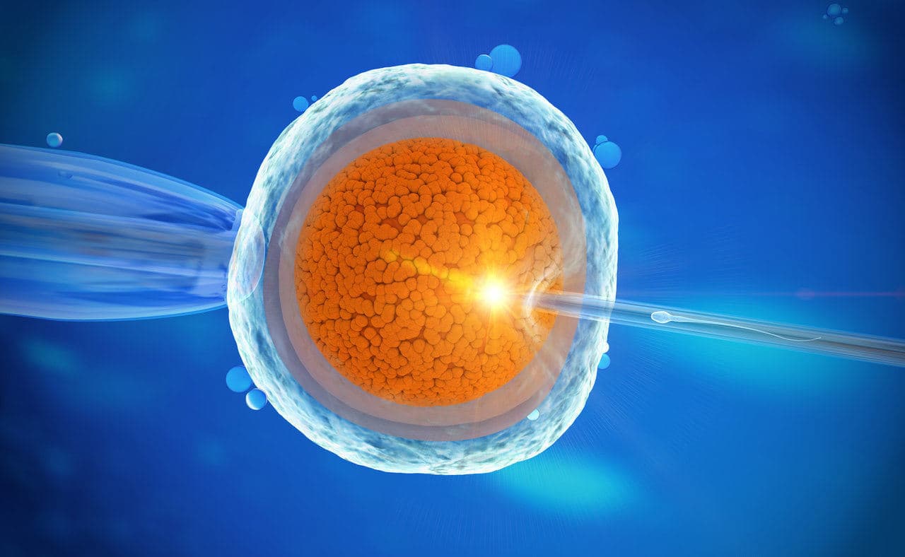Cytoplasmic transfer – success rate? How does it work?
