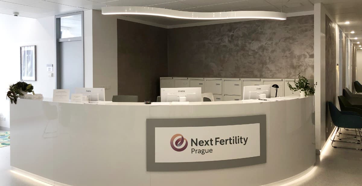 Superior Egg Donation Package – Next Fertility Prague