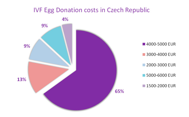 egg donor czech republic
