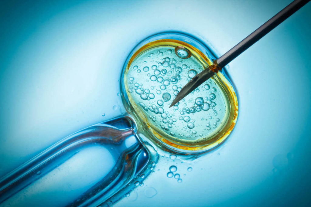 ivf failed what next