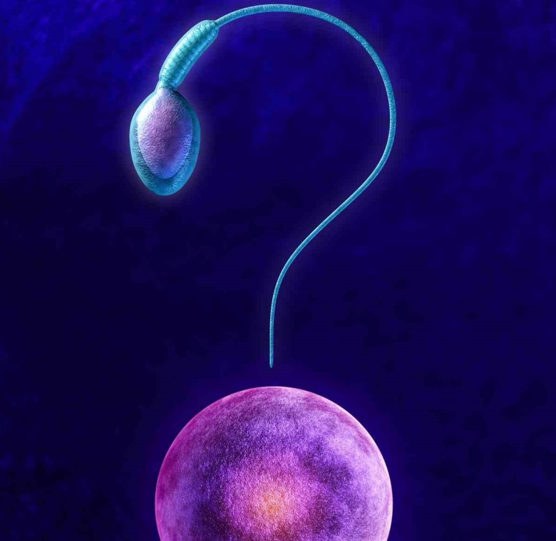 could the parasitic worms be used in infertility treatments?