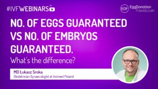 donor eggs guarantee