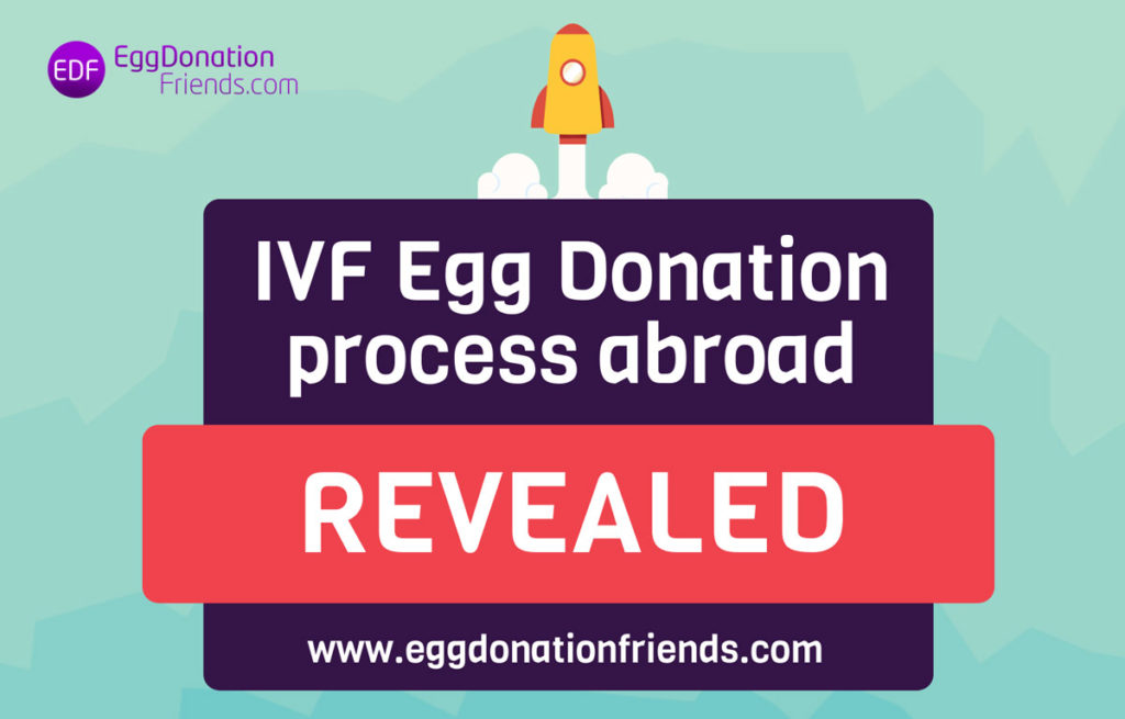 ivf egg donation process revealed