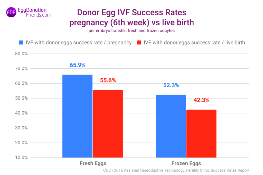 donor egg pregnancy