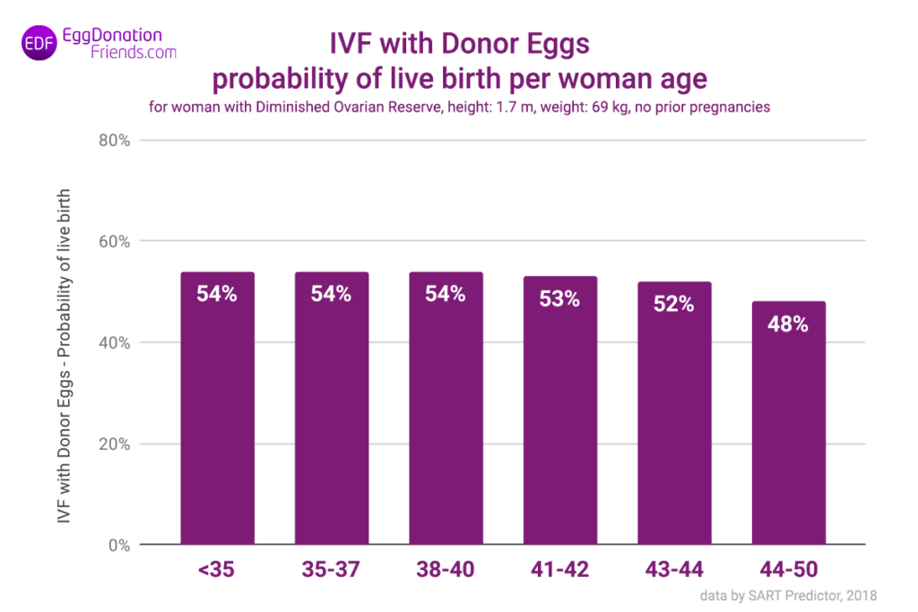 donor egg ivf