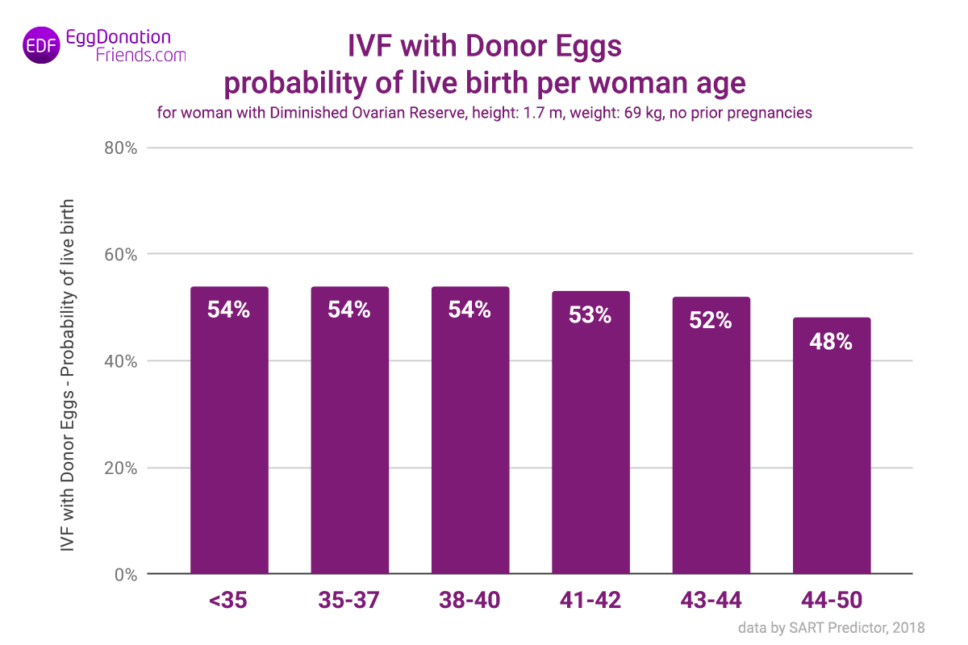 IVF Success Rates The Truth Clinics Don’t Tell You