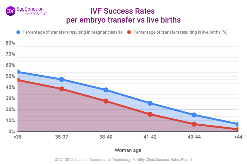 IVF success rates - pregnancies per embryo transfer vs live births