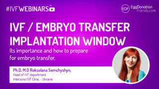 IVF, Implantation window and embryo transfer