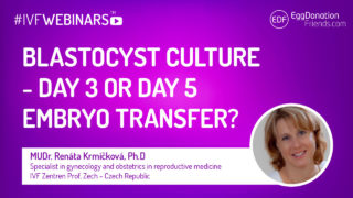 day 3 or day 5 embryo transfer