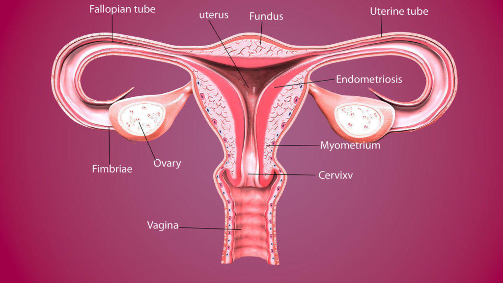 blocked fallopian tubes