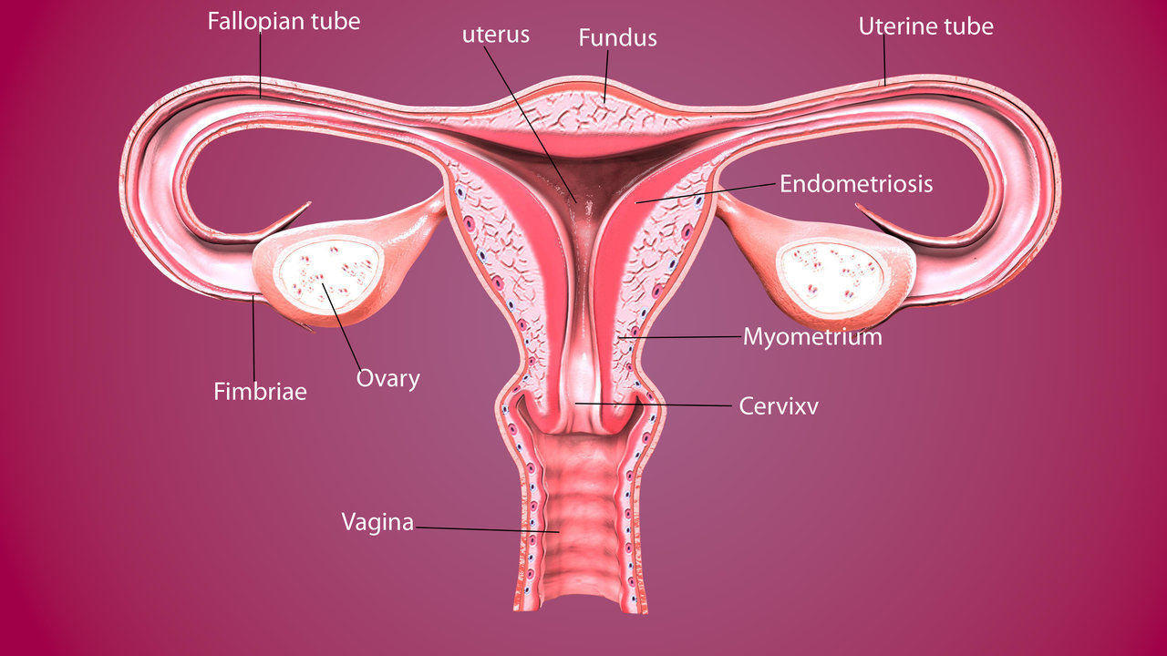 Causes of blocked fallopian tubes and IVF treatment
