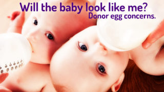 Will the baby look like me? Genetic inheritance.