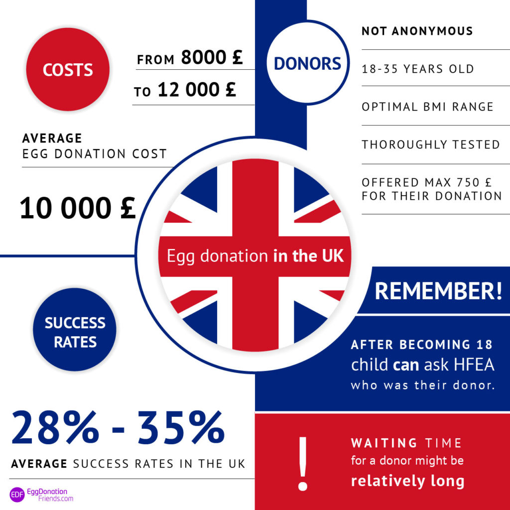 Egg donation UK – prices, success rates and donors 