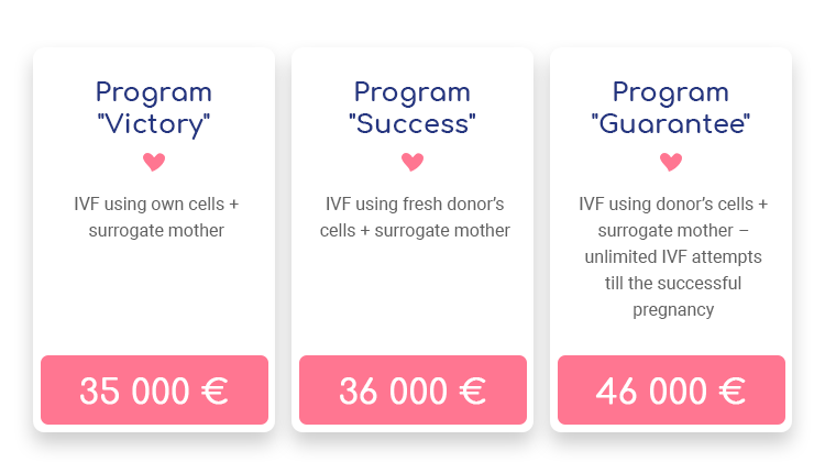 Vittoria Vita surrogacy program cost