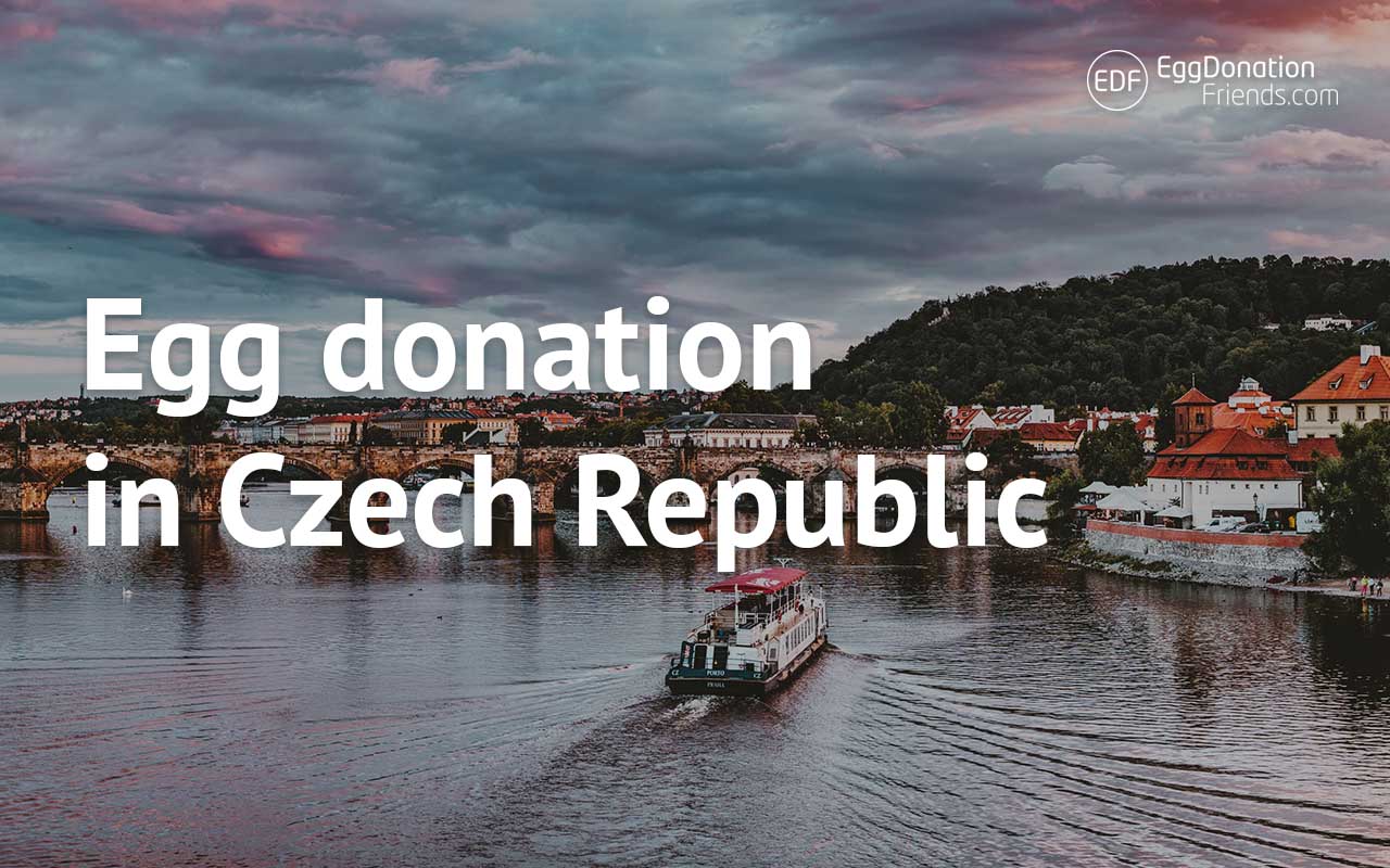 Egg donation in Czech Republic
