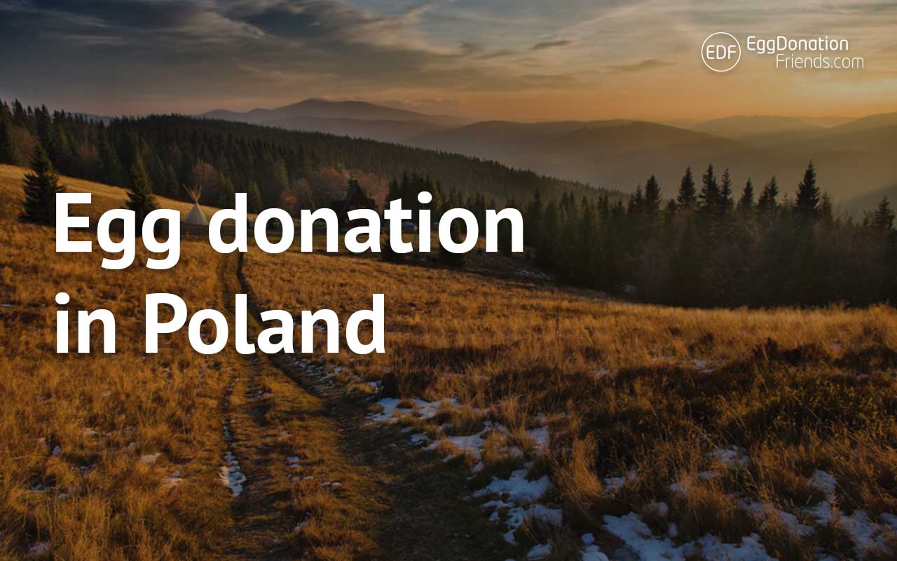 Egg donation in Poland