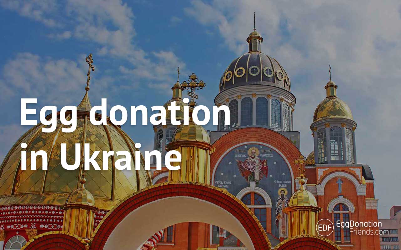 Egg donation in Ukraine