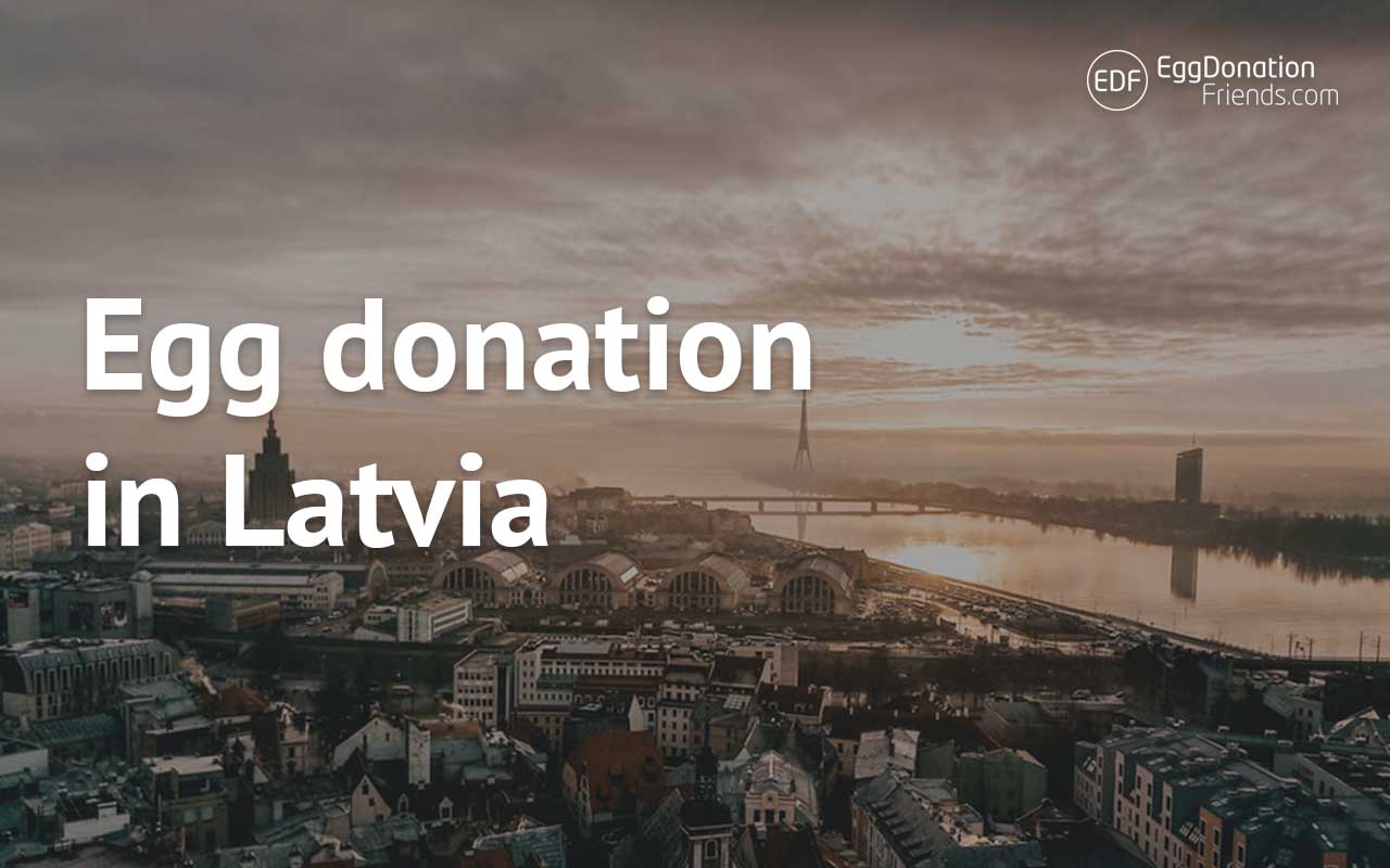 Egg donation in Latvia