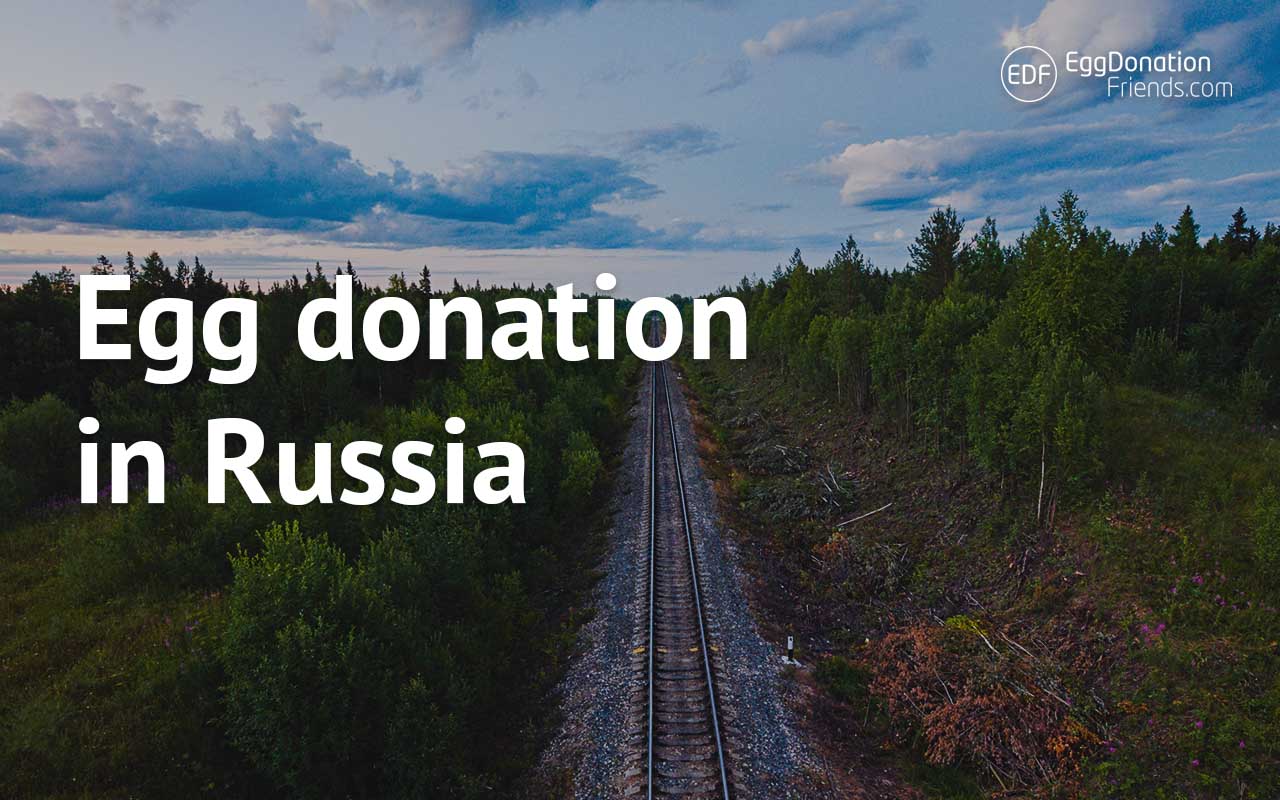 egg donation in Russia