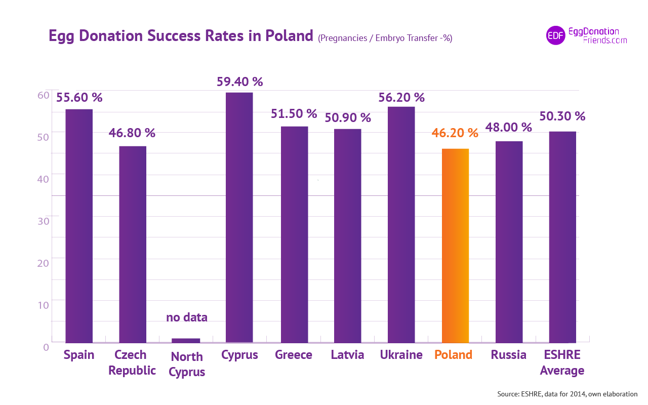 IVF egg donation success rates - Poland