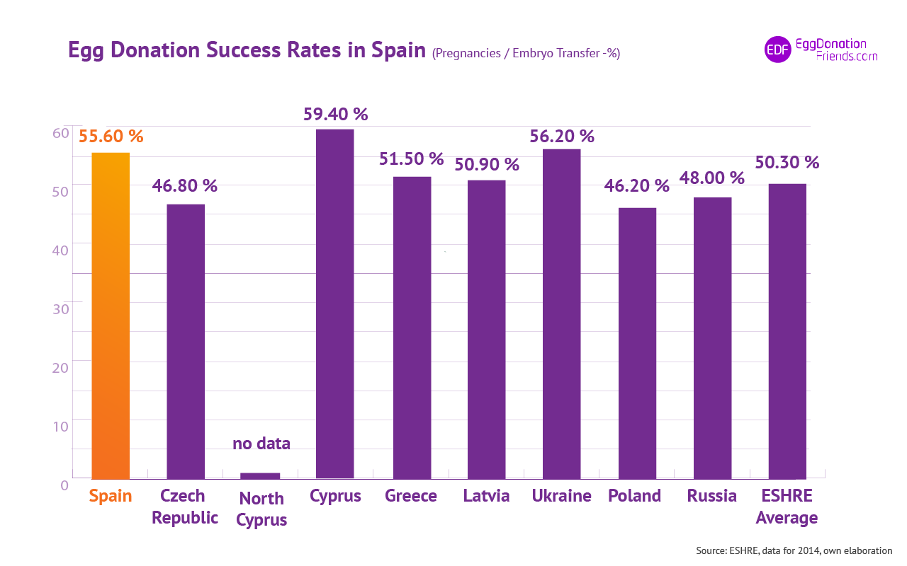IVF Egg donation success rates - Spain