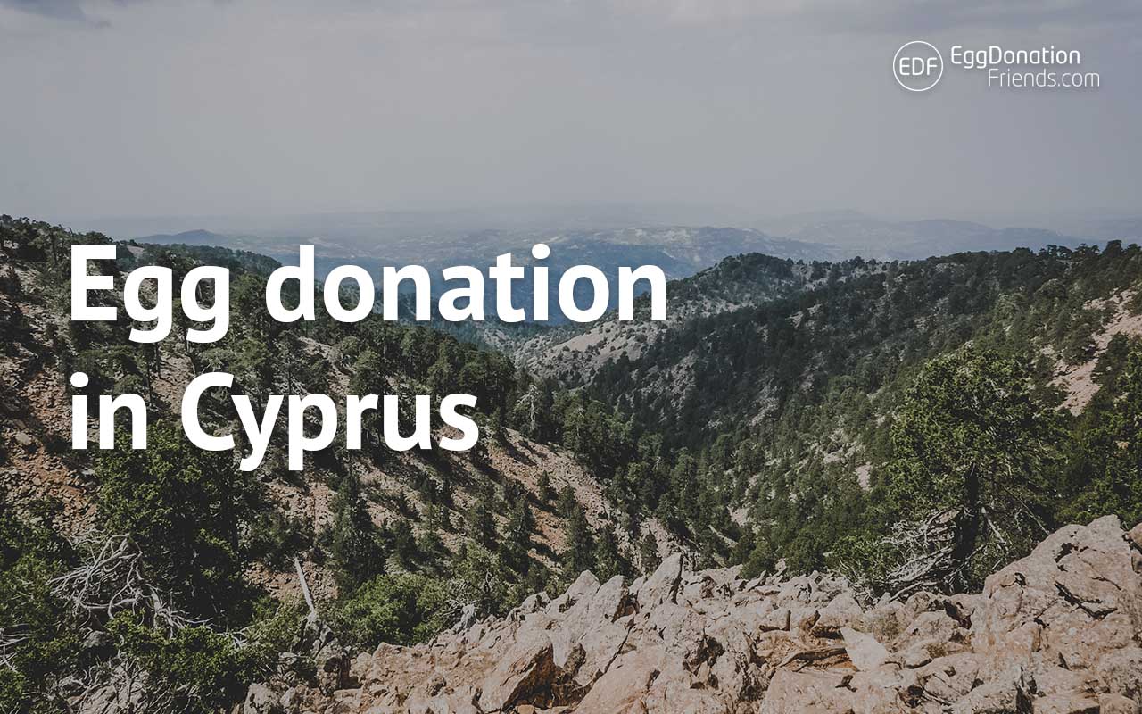 egg donation in Cyprus