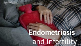 endometriosis & infertility